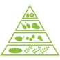 Infants Lesson Plan Food Pyramid