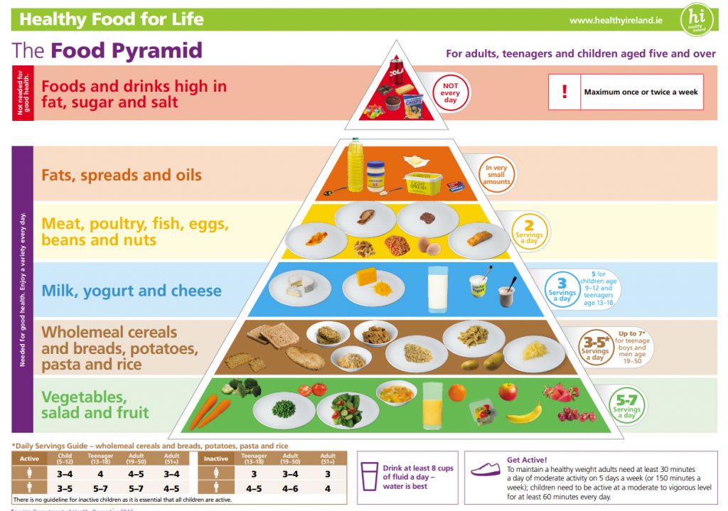 essay on food pyramid